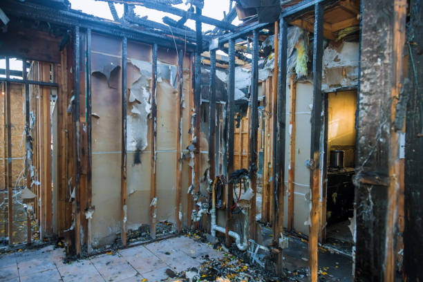 Professional Fire Damage Repair technician working in Medford, MN
